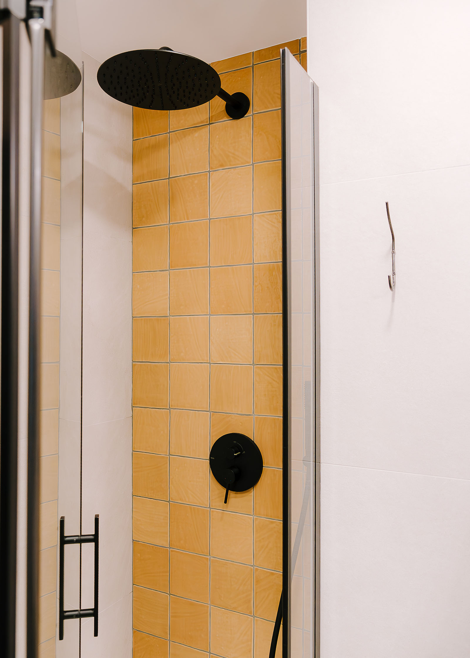 arquitecto - reforma bioclimática - reforma integral - reformas cerca de mi - arquitectura y diseño - detalle ducha colorida de baño principal